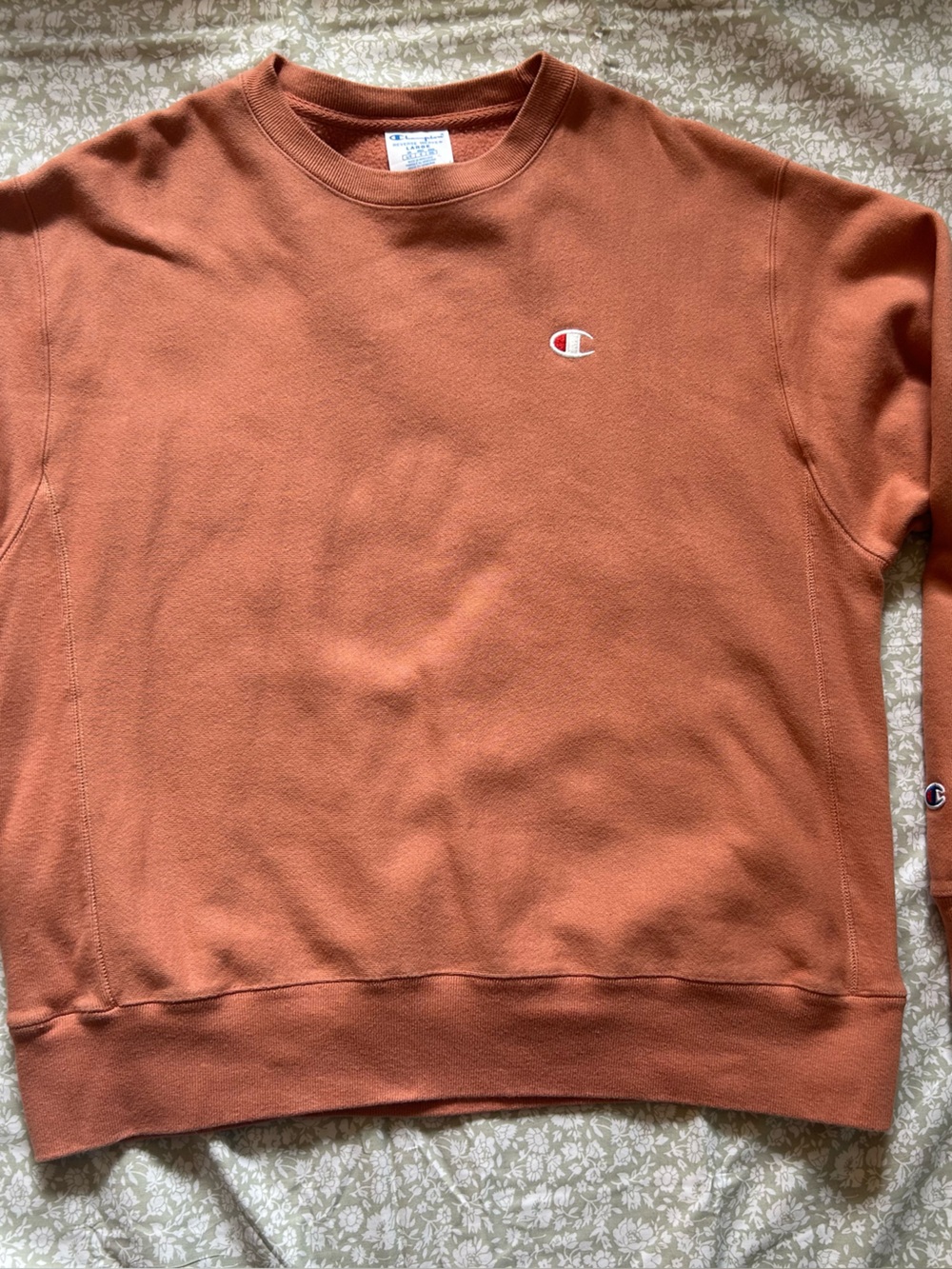 Champion Womens OVERSIZED Large Crewneck Sweatshirt